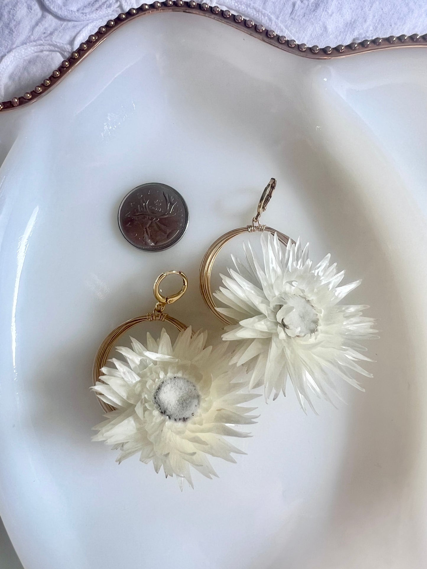 Solar Eclipse Forager Earrings - White Strawflower