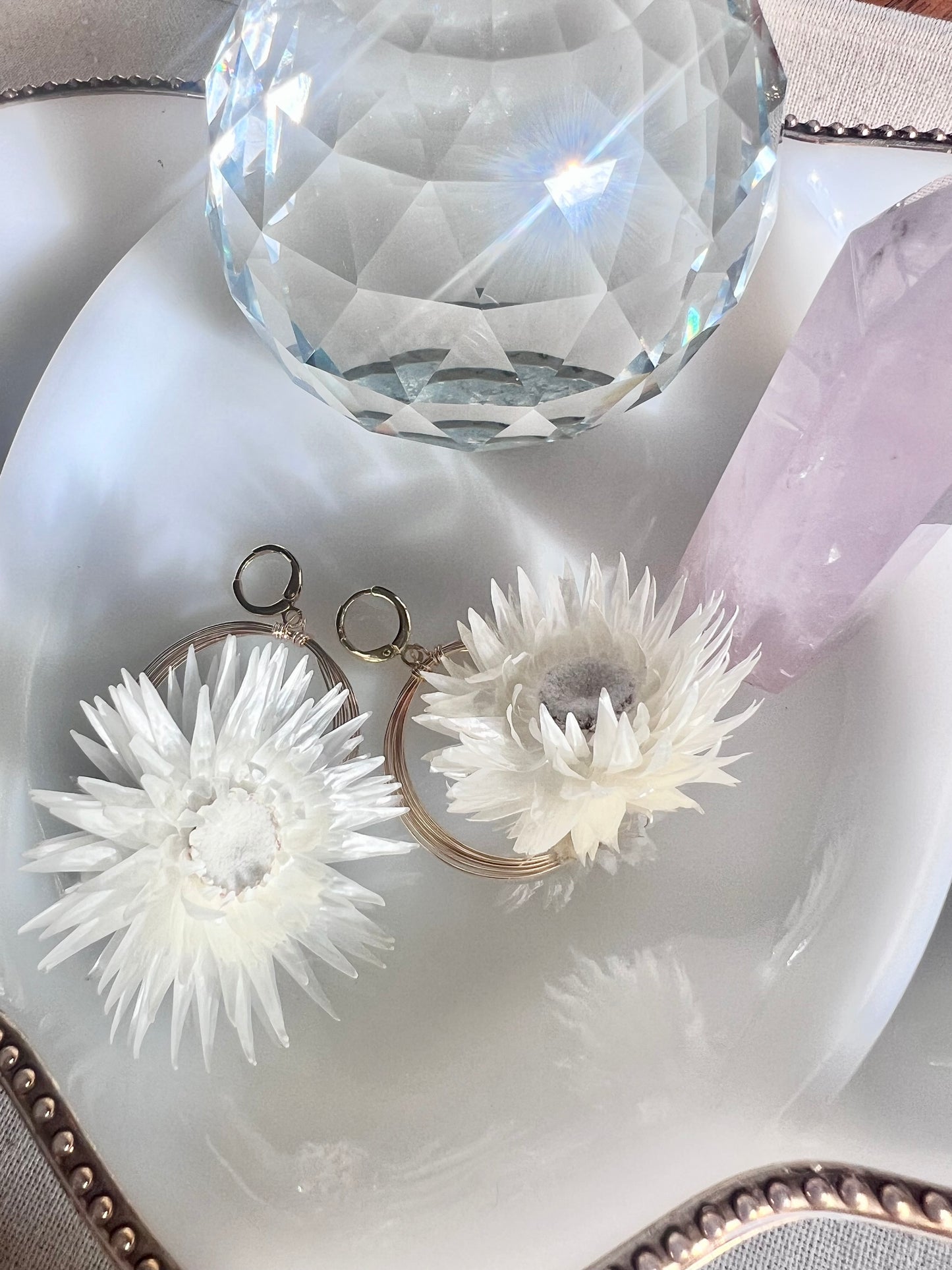 Solar Eclipse Forager Earrings - White Strawflower