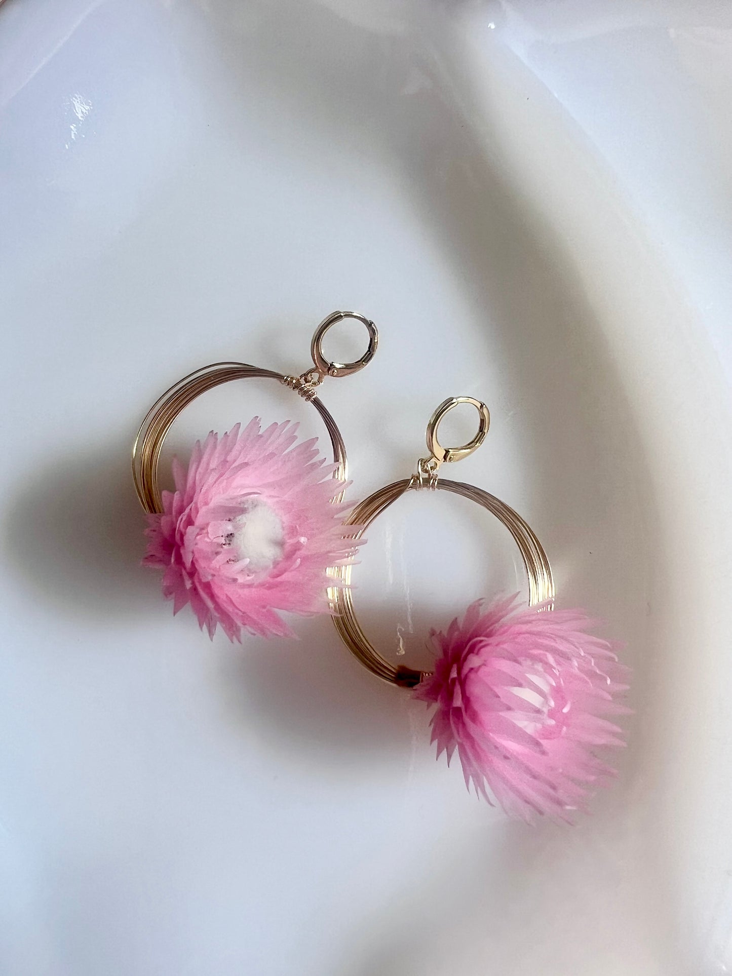 Solar Eclipse Forager Earrings * Pink Strawflower